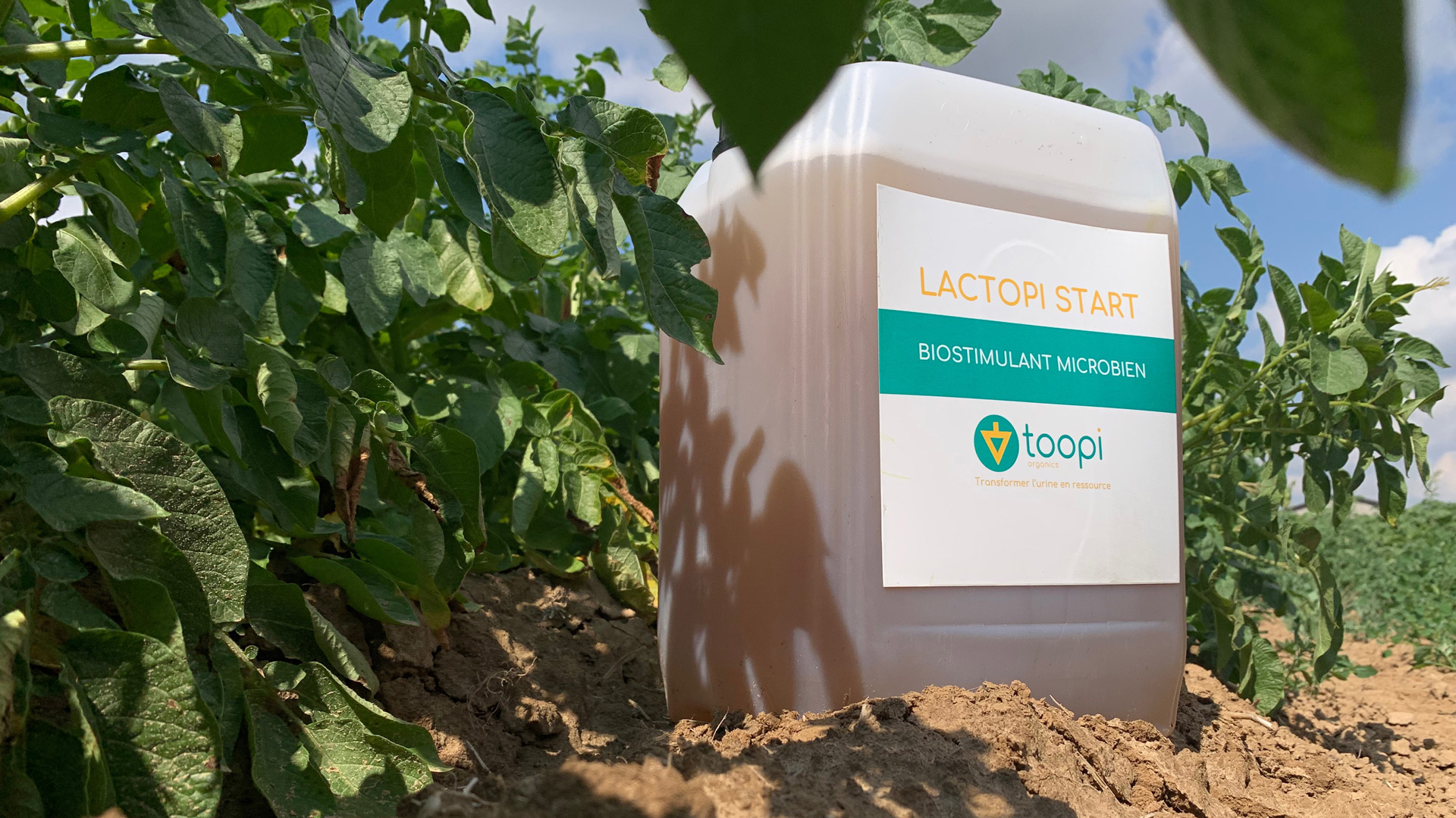 Lactopi Start Urine-based biostimulant