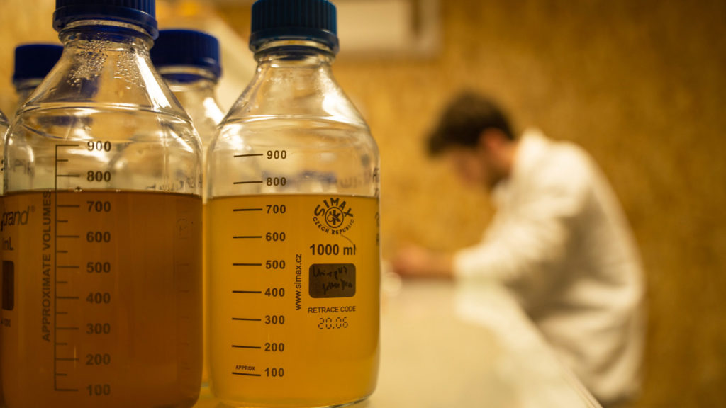 Les scientifiques de l'équipe R&D de Toopi Organics sont en train de développer des produits issus de la valorisation de l'urine humaine