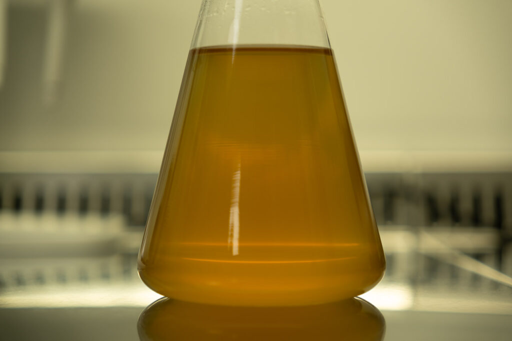 urine fermentée biostimulant microbien bactéries