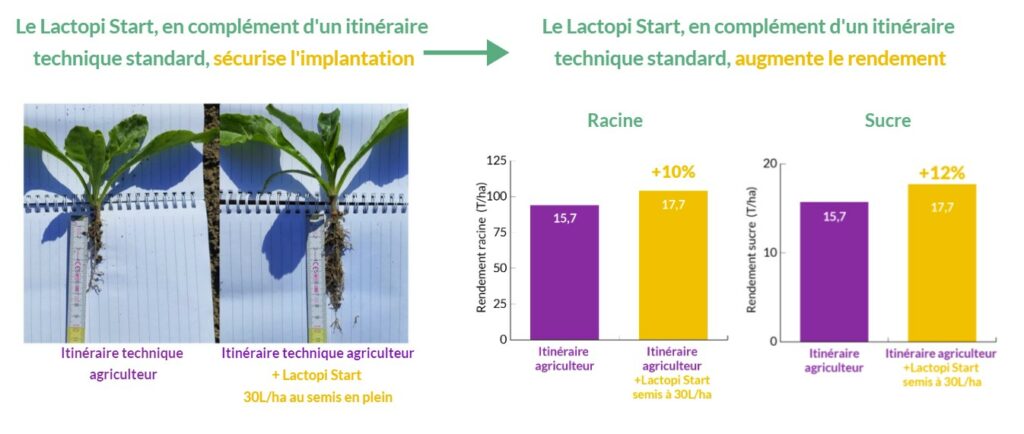 rendement betterave sucriere belgique biostimulant lactopi start urine scam