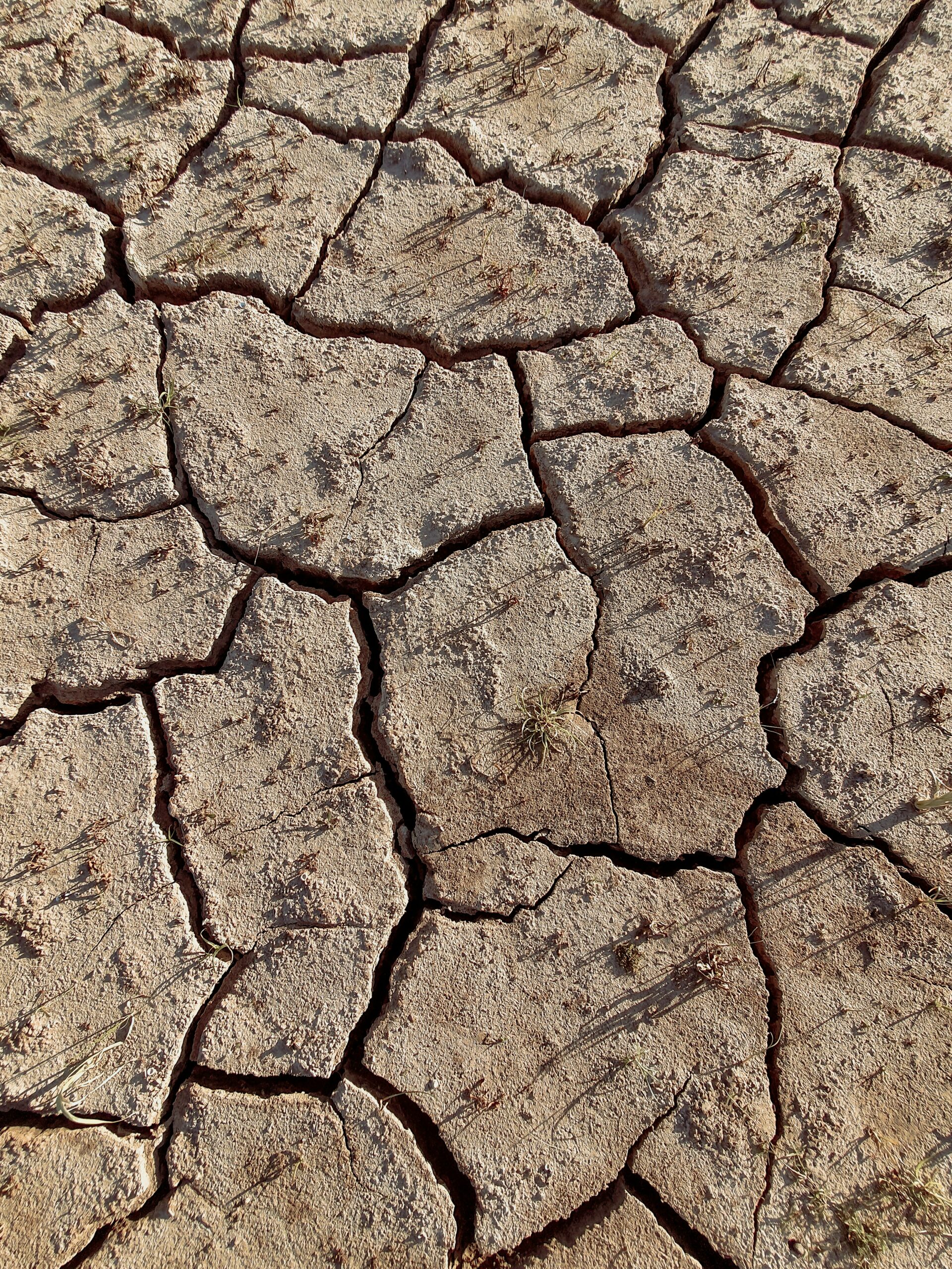 Résilience climatique